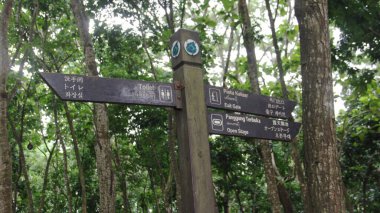 Maymun ormanında tahta tabela Bali