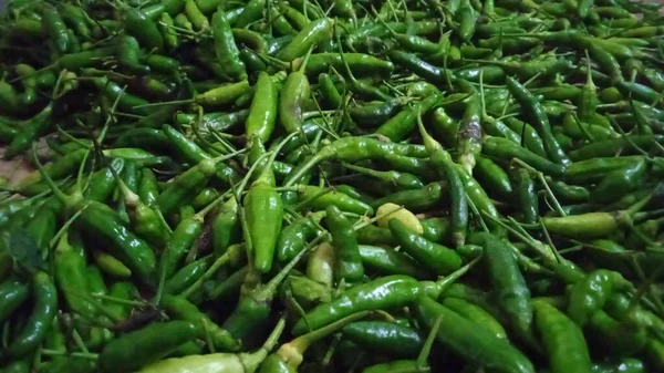 Green Cayenne Pepper Very Spicy Chili Variant — Fotografia de Stock