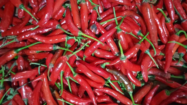 Big Red Chili Has Taste Too Spicy Suitable Stir Fry — Zdjęcie stockowe