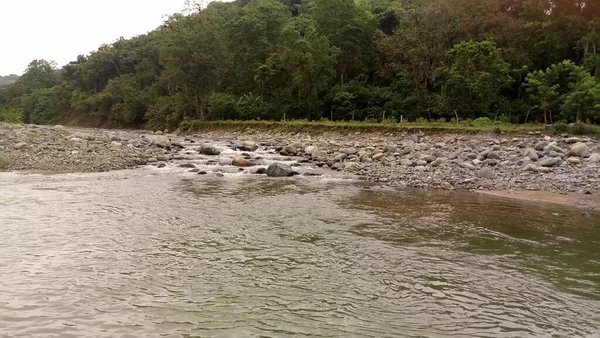 Ormandaki Nehir — Stok fotoğraf