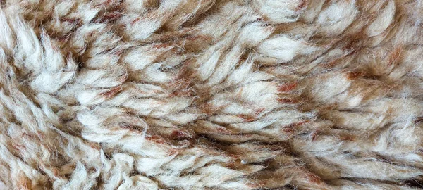 Modern Brown Beige Fur Rug — Foto Stock