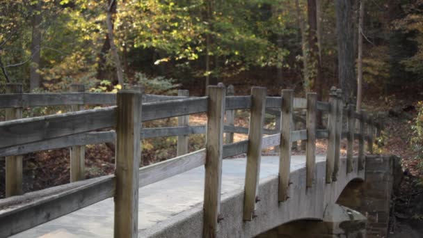 Male Runner Runs Bluff Bridge Rock Creek Park Washington Autumn — Stock video