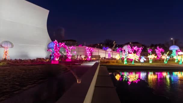 Tourists Visit Winter Lanterns Reach Kennedy Center Washington Art Installation — Stockvideo