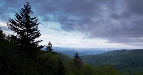 Batı Virginia Daki Monongahela Ulusal Ormanı Nın Bir Parçası Olan — Stok video