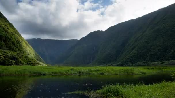 ハワイ島のワイマヌ渓谷と川の時間の経過 背後には滝が見える — ストック動画