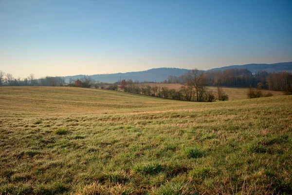 Morning Meadow Fields Overlooking Surroundings — ストック写真