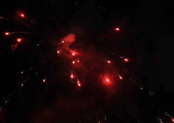 Fireworks shine in the dark night