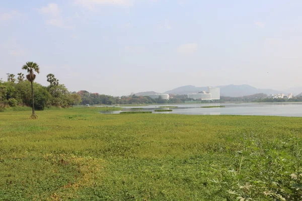 landscape of a lake in Powai, India