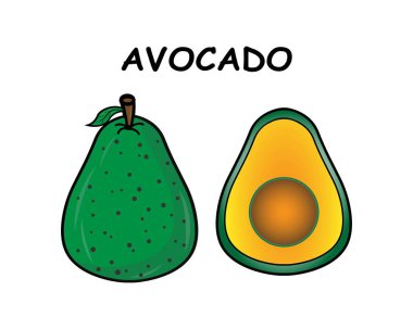 Beyaz arkaplanda Avokado vektör resimleme şablonu