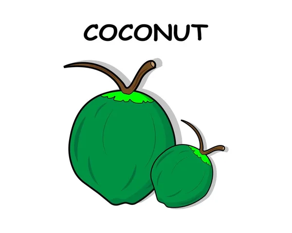 Coconut Vector Icon Illustration Design Template White Background — Stockový vektor