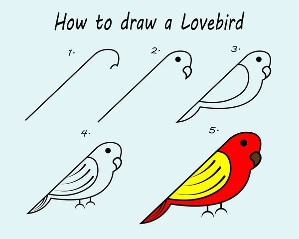 Step Step Draw Bird Drawing Tutorial Bird Drawing Lesson Children — Stock vektor