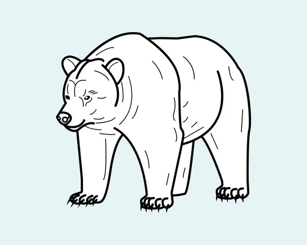 Cartoon Bear Εικονίδιο Πρότυπο Εικονογράφηση Για Πολλούς Σκοπούς Μάθημα Ζωγραφικής — Διανυσματικό Αρχείο