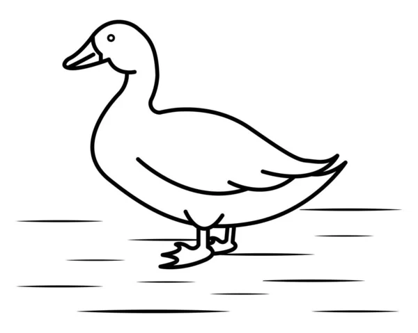 Wektor Duck Ilustracji Szablon Kolorowania Książki Lekcja Rysunku Dla Dzieci — Wektor stockowy