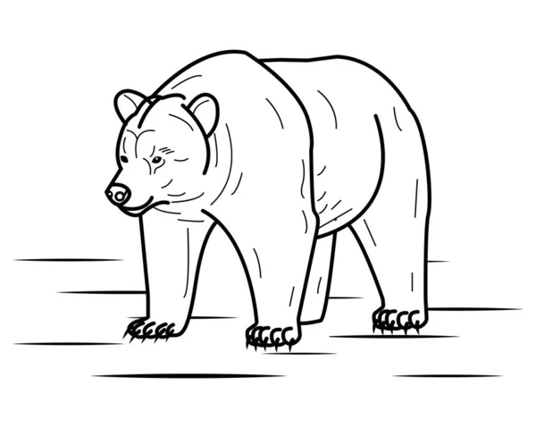 Modelo Ilustração Vetorial Urso Para Livro Colorir Aula Desenho Para — Vetor de Stock