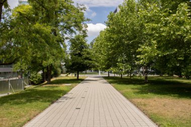 Oturma odasında eşarplı güzel kedi oturuyor.