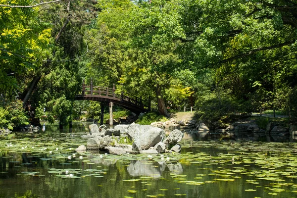 a powerful park with a bridge. Nature caresses us.