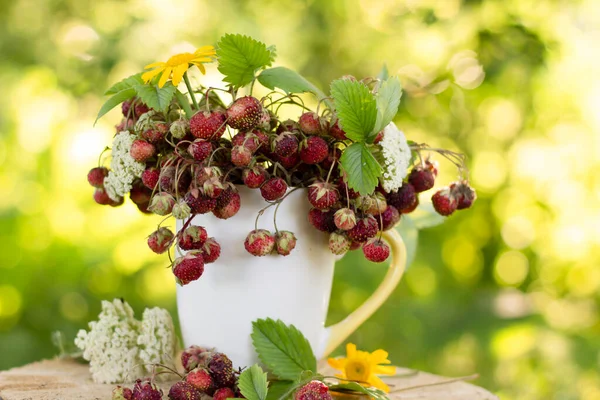 Fresh Ripe Raspberries Green Garden — Foto de Stock