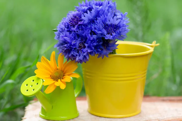 Beautiful Flowers Yellow Blue Flowers — Fotografia de Stock