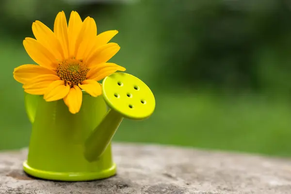 Yellow Watering Can Flower Green Background — Stock Photo, Image