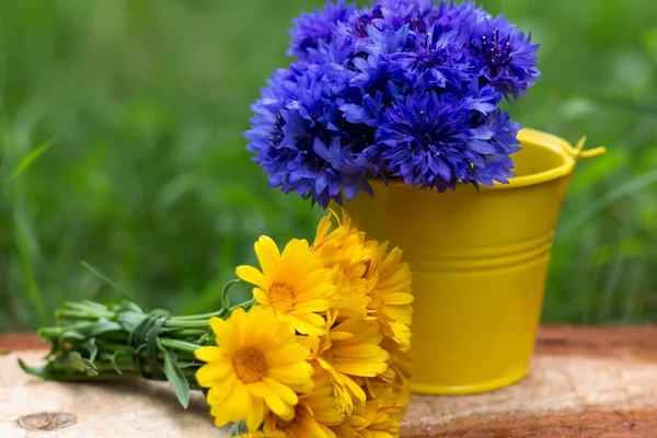 Beautiful Yellow Blue Flowers Green Background — Stock Photo, Image