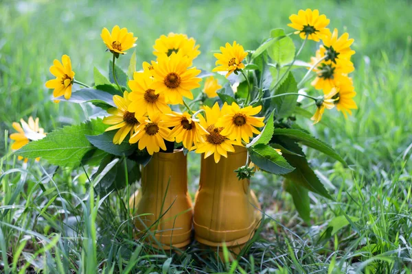 Yellow Flowers Yellow Boots — Fotografia de Stock