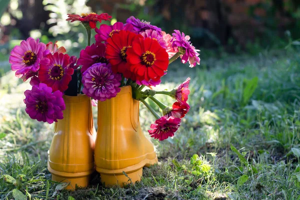 Beautiful Flowers Vase Background — Stock Photo, Image