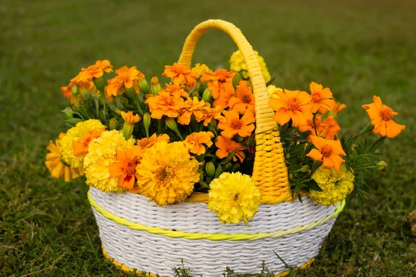 autumn flowers on the grass.flowers in a basket