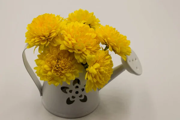 Beau Bouquet Chrysanthèmes Jaunes Dans Vase Sur Fond Blanc — Photo