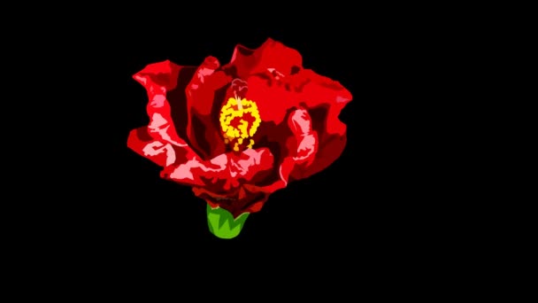 Tento Kreslený Animovaný Timelapse Krásné Červeného Ibišku Kvetoucí Otevření Ideální — Stock video