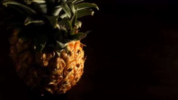 Stop Motion Animation Footage Rotating Pineapple Fruit Overhead Shot Low — 图库视频影像