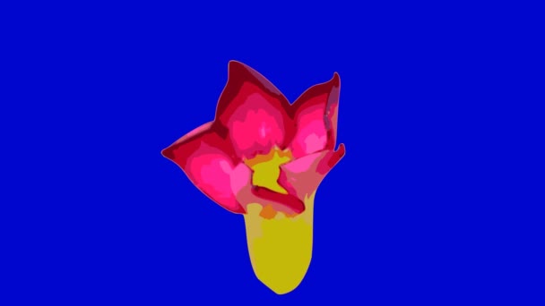 Denna Tecknade Animerade Time Lapse Vacker Adenium Obesum Blomma Blommar — Stockvideo