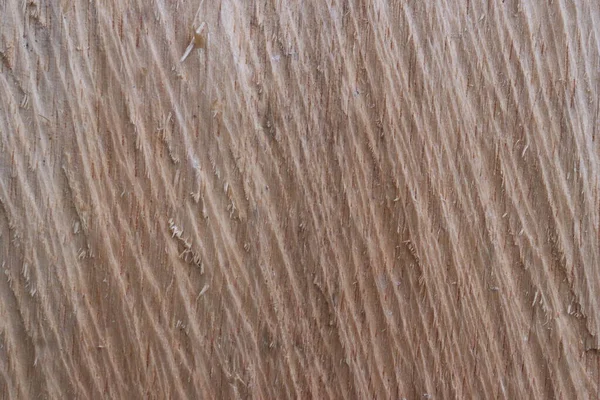 Wood Cut Texture Natural Pattern Natural Background — 图库照片