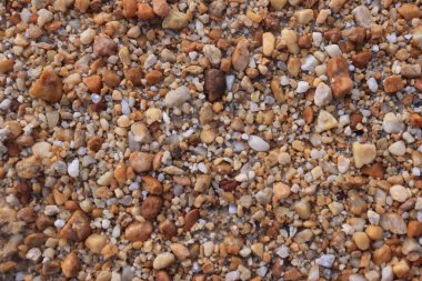 Nehir kıyısında küçük kahverengi taş koleksiyonu. Doğal Arkaplan