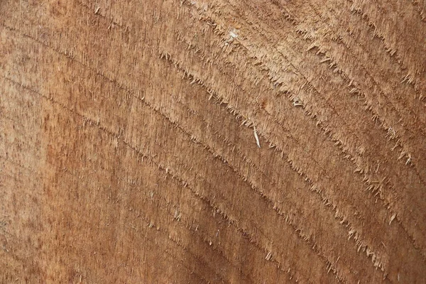 Wood Cut Texture Natural Pattern Natural Background — Stockfoto