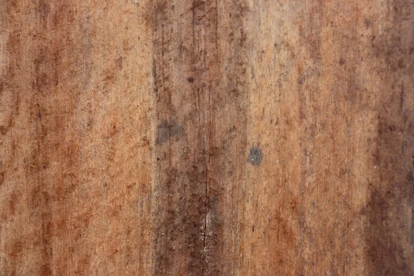 Wood Cut Texture Natural Pattern Natural Background — 图库照片