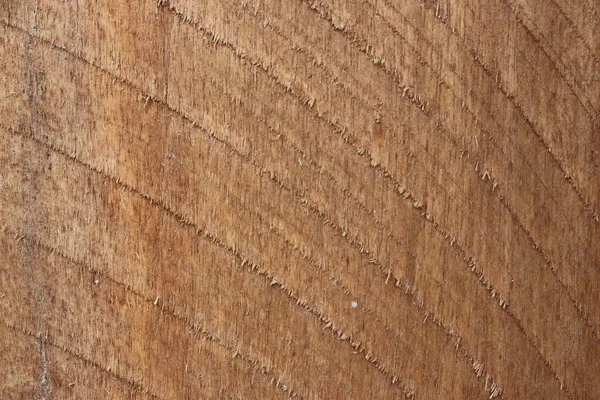 Текстура Дерева Вирізана Натуральним Візерунком Природний Фон — стокове фото