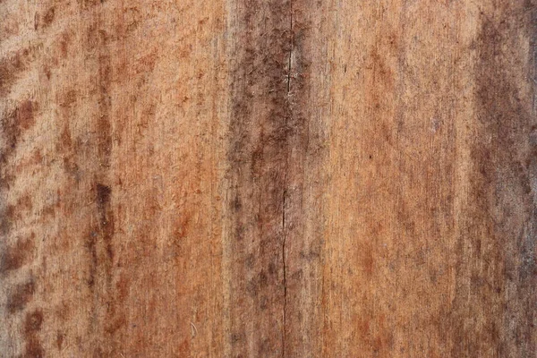 Wood Cut Texture Natural Pattern Natural Background — 图库照片