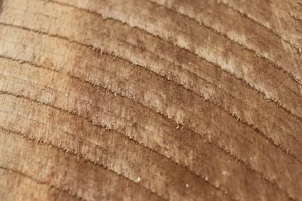 Wood Cut Texture Natural Pattern Natural Background — Fotografia de Stock