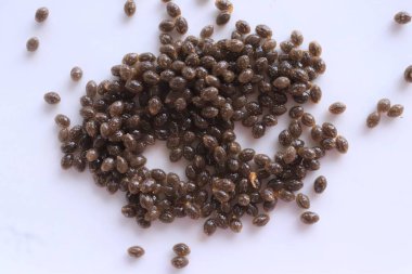 Beyaz arkaplanda papaya tohumları koleksiyonu