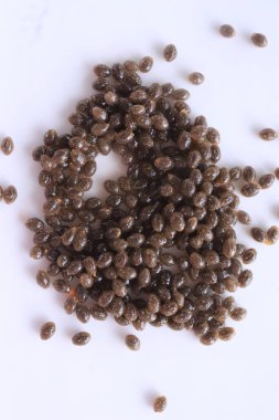 Beyaz arkaplanda papaya tohumları koleksiyonu