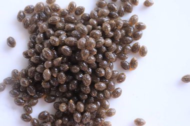 Beyaz arkaplanda papaya tohumları koleksiyonu