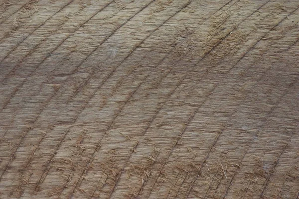 Натуральна Текстура Шматочках Дерева Коричневим Кольором Природний Фон — стокове фото