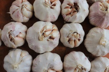 Sarımsak koleksiyonu.