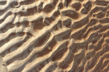 Wave-shaped sand due to the flow of river water