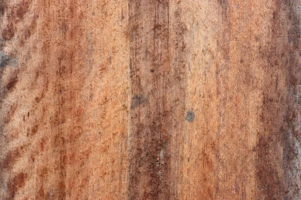 Close Wood Cut Texture — Fotografia de Stock