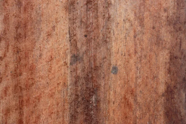 Close Wood Cut Texture — Fotografia de Stock