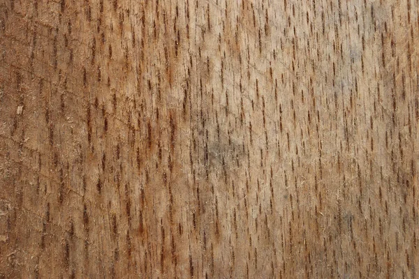 Крупним Планом Текстура Різання Деревини — стокове фото