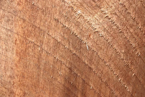 Close Wood Cut Texture — Stockfoto