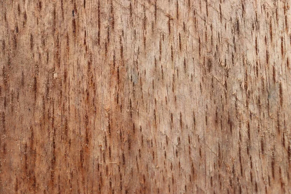 Close Wood Cut Texture — 图库照片