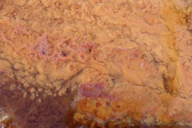 The result of iron waste deposits that are brown and fuzzy contained in soil with a high iron content